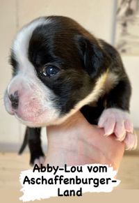 Abby 14 Tage