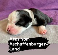 Ares 6 Tage